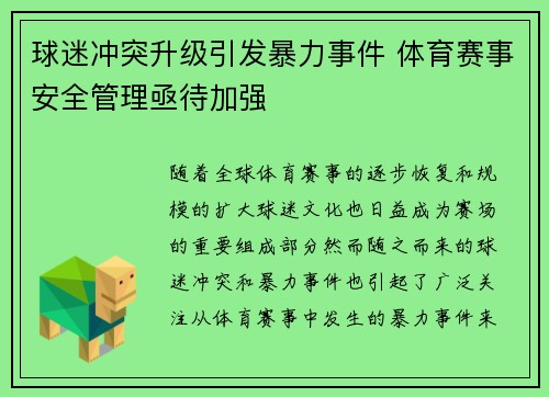 球迷冲突升级引发暴力事件 体育赛事安全管理亟待加强